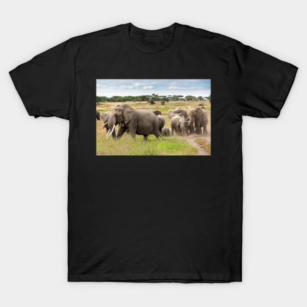 Elephant Family, Ngorongoro Concession, Tanzania T-Shirt by AndrewGoodall